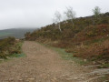 piste caillouteuse