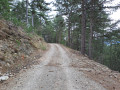Piste carrossable