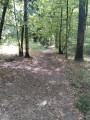 Circuit de Diane et d'Actéon en Forêt Domaniale de Senonches
