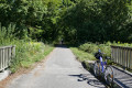 Piste cyclable de la forêt de la Hardt