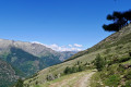 Piste d’accès à l’Orri de Tignalbu