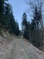 Piste de la Vouettaz