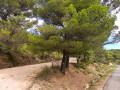 Piste de Roumagou vue en contresens