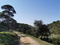 piste du Gourréou