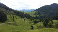 Piste forestière