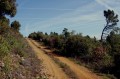 piste