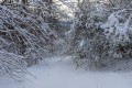 Piste