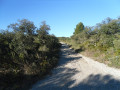 Piste