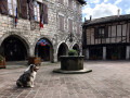 Place du village