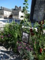 Place Pierre Frapin