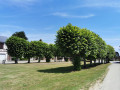 places des tilleuls