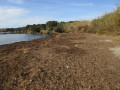 Plage de la Tour Fondue