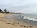 Plage des Prises