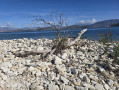 Le littoral à partir du port d'Agios Stefano