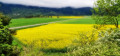 Plaine agricole près vieux Pellafol