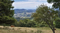 Plaine d'Alsace