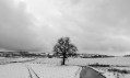 Plaine de la Bièvre