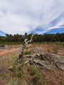 Plaine des Mayons - Lac des Escarcets