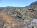 Plaine des sables