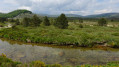 Haut Tarn Plain