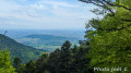 Plaine du Rhin vue du "rocher plat"