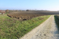 Plaine en direction de Saint Ciers du Taillon