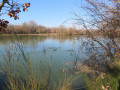 Plaisir d'hiver