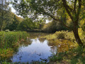 Plan d'eau au bas de Williers