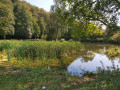 Plan d'eau au bas du village de Williers