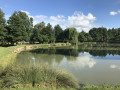 Boucle en Forêt de Boizé et bords de Vienne