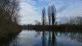 Île et Réserve Naturelle du Rohrschollen à Strasbourg (version longue)