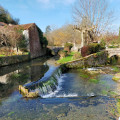 Plan d'eau