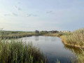 Plan d&rsquo;eau