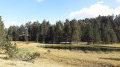 Planholes dera lossa