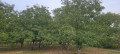 Entre lavoirs et noyers à Granges d'Ans