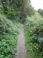 sentier lors du parcours rando
