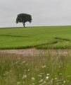 Hameaux et marais en bords de Seine et Risle