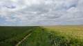 Plateau de la Beauce
