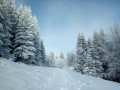 Plateau de Sornin