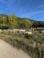 Boucle de Pié Martin depuis les Courmettes