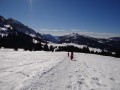 Raquettes sur le plateau des Glières