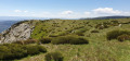 Plateau du Tanargue