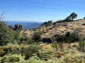 plateau et landes du Caroux