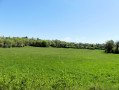 Plateau Sonthonnax-la-Montagne