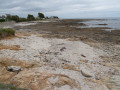Platier rocheux à marée basse