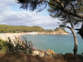 Platja Castell