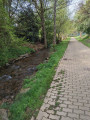Weiskirchen - Hochwald-Pfad Weiskirchen - Hochwald-Pfad
