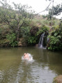 plongeon plongeon