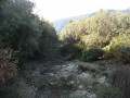 Point (11)