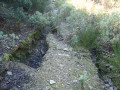 Vignes et garrigues à Villeneuve-Minervois